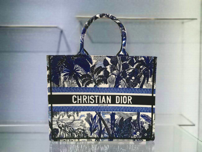 Dior Bag 2020 ID:202103b174