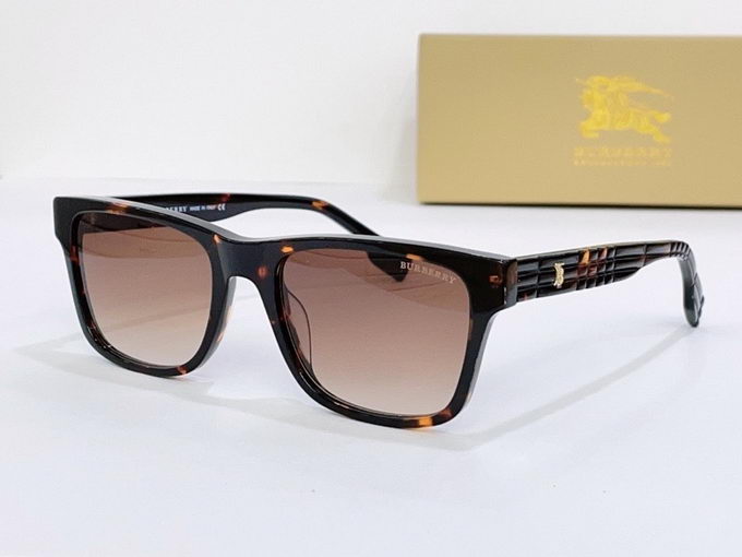 Burberry Sunglasses ID:20230605-51